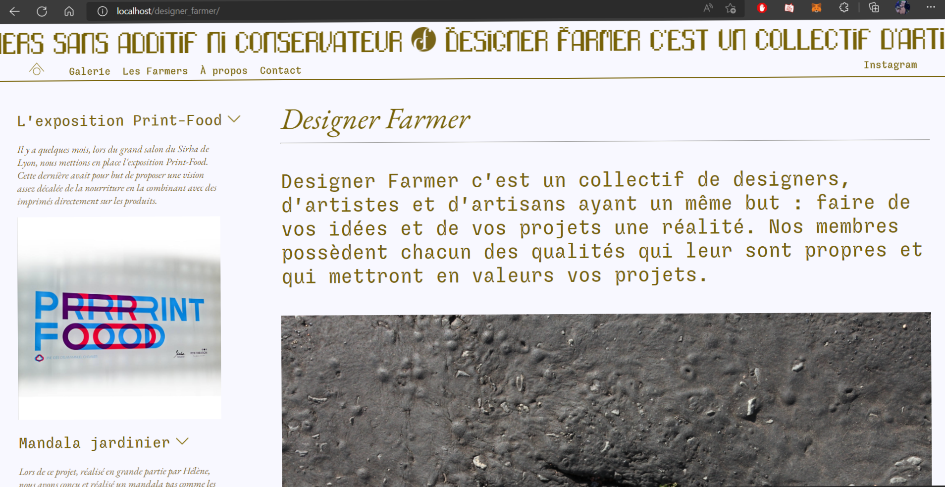 projet designer farmer